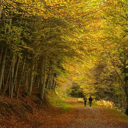 La Alhaja De By Bevalle Apartamento Panticosa