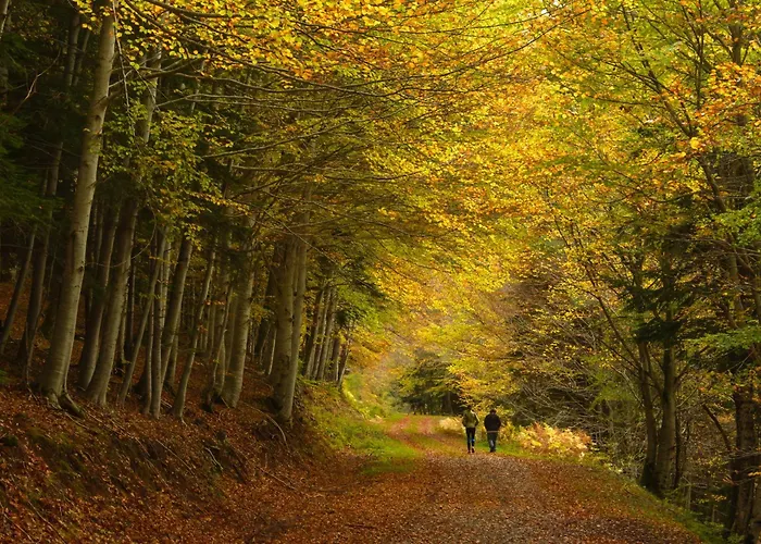 La Alhaja De By Bevalle Apartamento Panticosa